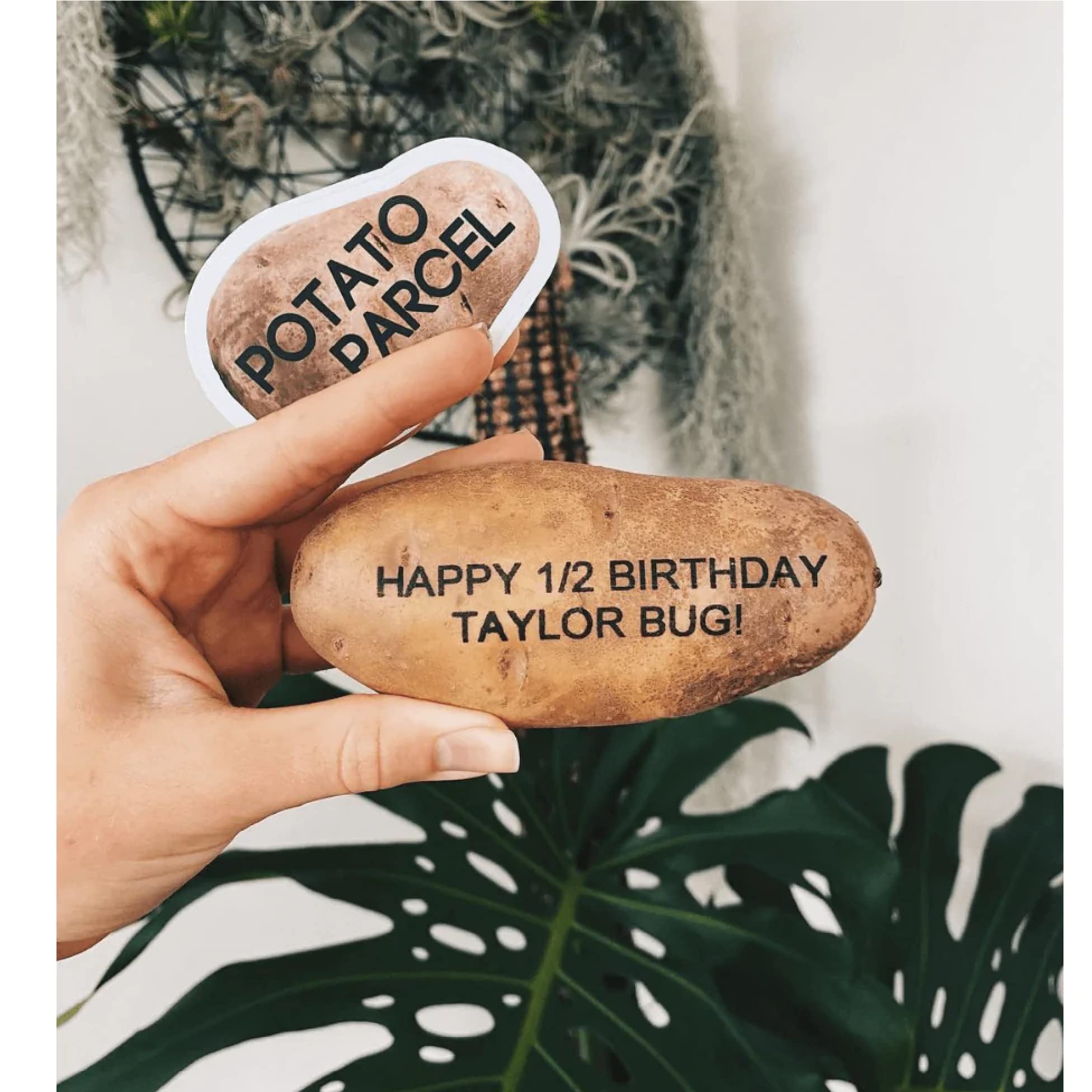 Amazon.com: Custom Message Potato - Your message on a real potato